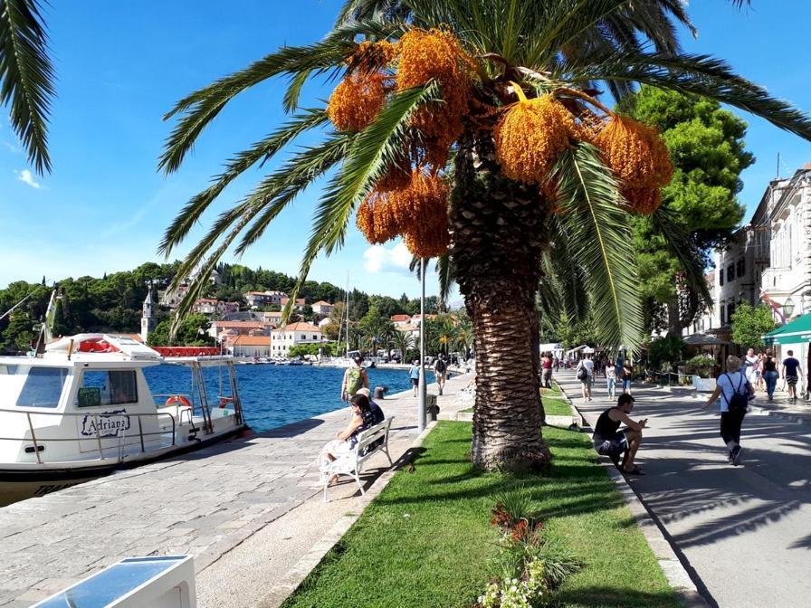 Apartments Rilovic, City And Sea View Apartments Cavtat Esterno foto
