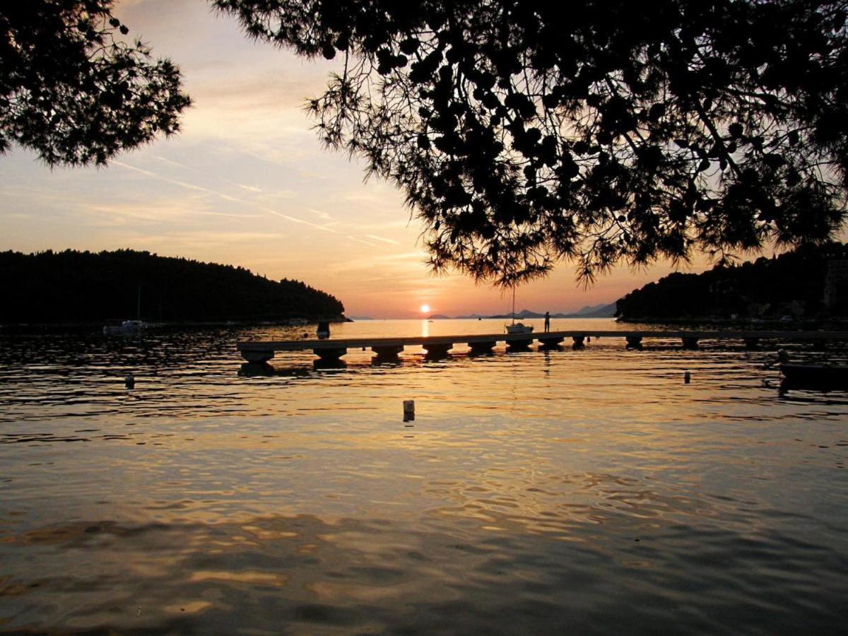 Apartments Rilovic, City And Sea View Apartments Cavtat Esterno foto